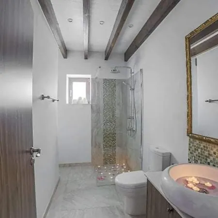 Parthenonas فيلة